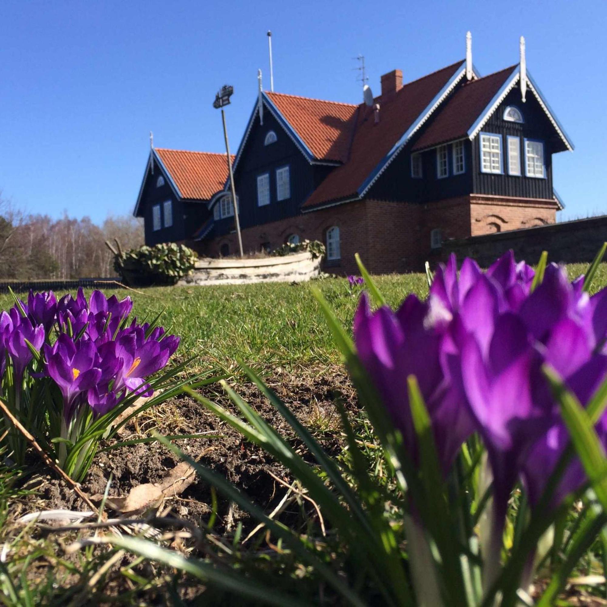 Sturmu Svyturys Bed & Breakfast Sturmai Exterior photo